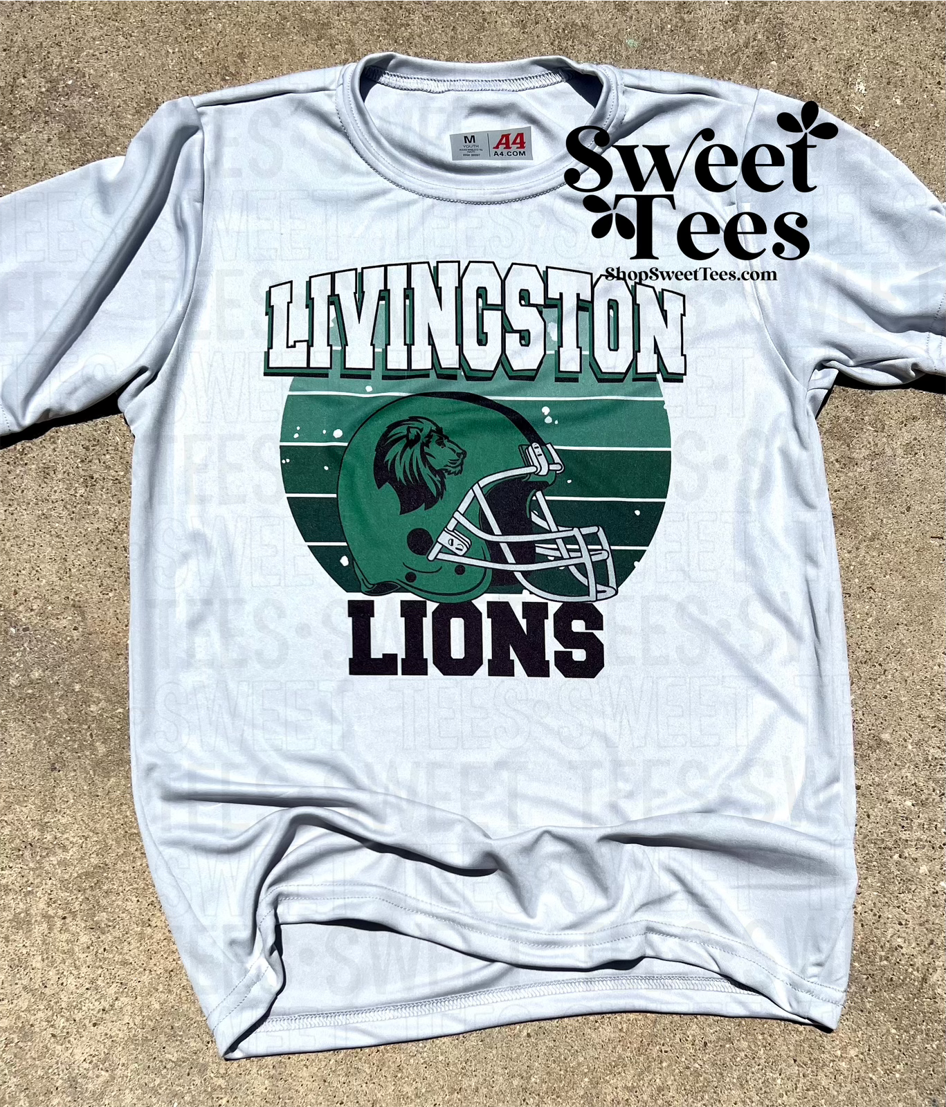 Lions Helmet Ombre Drifit tee