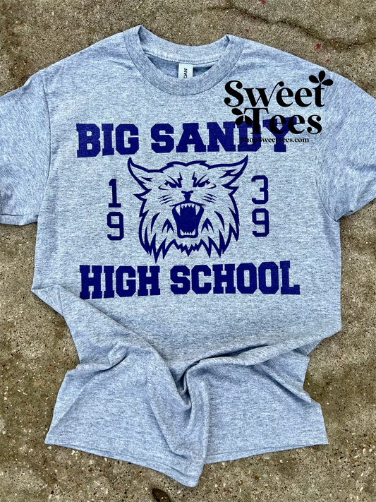 Vintage Big Sandy Wildcats tee